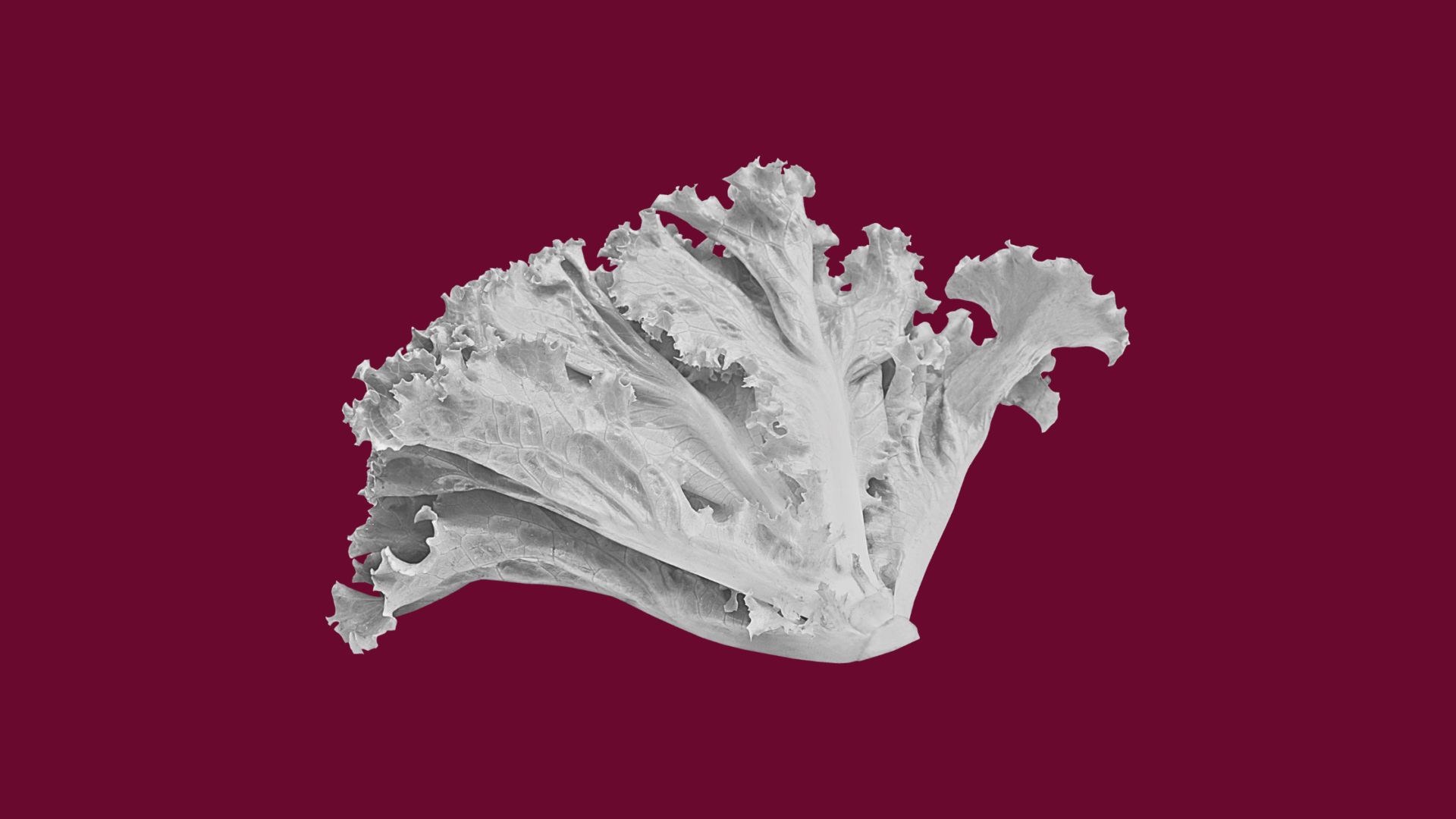 The Pesticide Paradox Part 2:  Your Action Plan for Reducing Pesticide Exposure