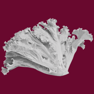 The Pesticide Paradox Part 1: America’s Toxic Secret