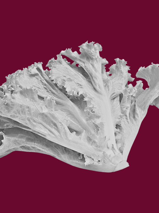 The Pesticide Paradox Part 2: Your Action Plan for Reducing Pesticide Exposure