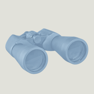 Wellness Product Guide: Detox Edition